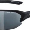 Alpina Sonnenbrille Lyron HR Rahmen Schwarz Matt Glas Sw Versp. S3 2 Alpina Sonnenbrille Lyron HR Rahmen Schwarz Matt Glas Sw Versp. S3 -Alpina ID 126379 orig 600x600