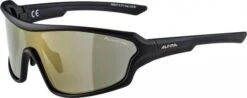 Sonnenbrille Alpina Lyron Shield P Rahmen Black Matt Glas Bronce Mirror
