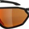 Sonnenbrille Alpina S-Way CM+ Rahmen Black Matt.Glas Red Mirror 1 Sonnenbrille Alpina S-Way CM+ Rahmen Black Matt.Glas Red Mirror -Alpina ID 131870 orig 600x600