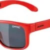 Sonnenbrille Alpina Mitzo Rahmen Red Glas Black Mirror.S3 1 Sonnenbrille Alpina Mitzo Rahmen Red Glas Black Mirror.S3 -Alpina ID 131871 orig 600x600
