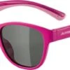 Sonnenbrille Alpina Flexxy Cool Kids I Rahmen Pink-rose Glas Black -Alpina ID 135555 orig 600x600