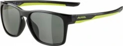 Sonnenbrille Alpina Flexxy Cool Kids I Rahmen Black-neon Glas Black