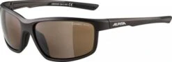 Alpina Sonnenbrille Defey Rahmen Tinn Matt Black Glas Brown Mir