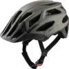 Alpina Helm Garbanzo Coffee-grey Matt Gr. 52-57 Cm -Alpina ID 137825 orig 600x600