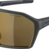 Alpina Sonnenbrille Ram HM+ Rahmen Coffeegrey Matt Glas Gold Mirror -Alpina ID 137917 orig 600x600