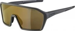 Alpina Sonnenbrille Ram HM+ Rahmen Coffeegrey Matt Glas Gold Mirror