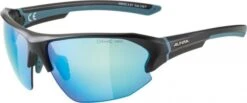 Sonnenbrille Alpina Lyron HR Rahmen Black Matt Blue Glas Blue Mirror