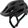 Alpina Helm Carapax 2.0 Black Matt Gr. 57-62 Cm 2 Alpina Helm Carapax 2.0 Black Matt Gr. 57-62 Cm -Alpina ID 138940 orig 600x600