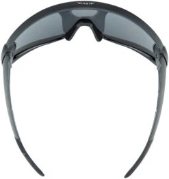 Alpina 5W1NG CM+ Brille Schwarz -Alpina alpina 5w1ng cm glasses all black black mirror 4