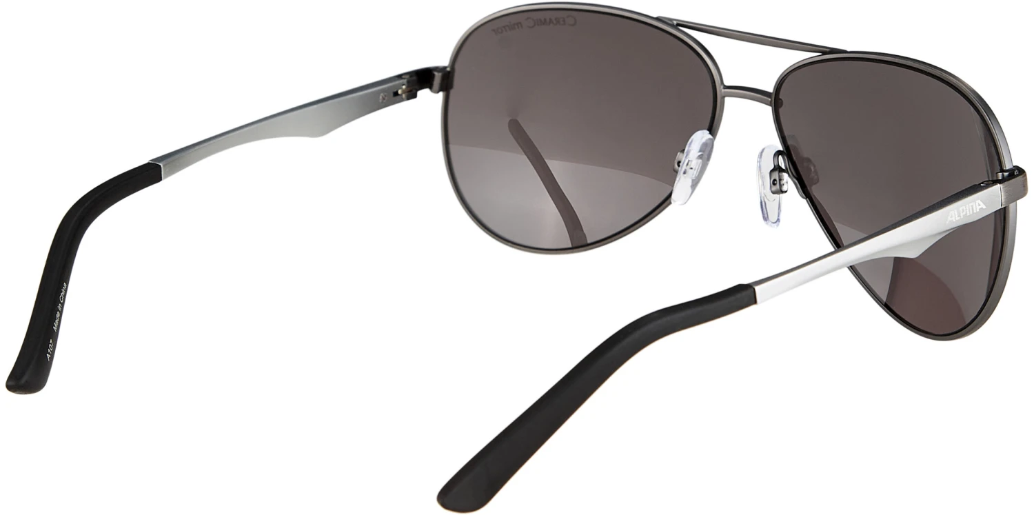 Alpina A 107 Brille Silber 4 Alpina A 107 Brille Silber – Bild 2