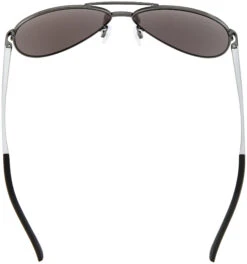 Alpina A 107 Brille Silber 8 Alpina A 107 Brille Silber -Alpina alpina a 107 brille titanium matt black mirror 4