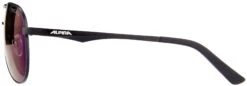 Alpina A 107 Brille Schwarz -Alpina alpina a 107 glasses black matt 5