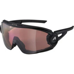 Alpina 5W1NG Q+CM Brille Schwarz/grau -Alpina alpina alpina 5w1ng q cm glasses black matt 3 1