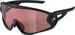 Alpina 5W1NG Q+CM Brille Schwarz/grau -Alpina alpina alpina 5w1ng q cm glasses black matt 5