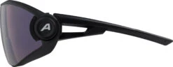 Alpina 5W1NG Q+CM Brille Schwarz/grau -Alpina alpina alpina 5w1ng q cm glasses black matt 6