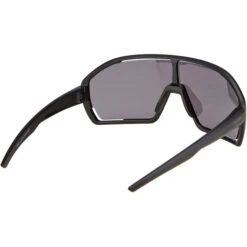 Alpina Bonfire Sonnenbrille Schwarz 9 Alpina Bonfire Sonnenbrille Schwarz -Alpina alpina bonfire glasses all black matt black mirror 3