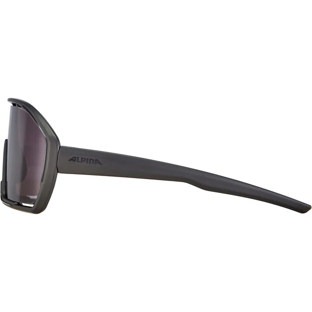 Alpina Bonfire Sonnenbrille Schwarz 7 Alpina Bonfire Sonnenbrille Schwarz – Bild 5