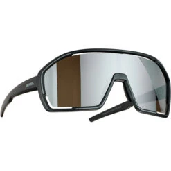 Alpina Bonfire Q-Lite Sonnenbrille Schwarz