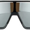 Alpina Bonfire Q-Lite Sonnenbrille Schwarz