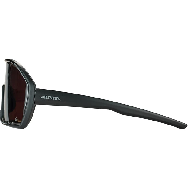 Alpina Bonfire Q-Lite Sonnenbrille Schwarz 7 Alpina Bonfire Q-Lite Sonnenbrille Schwarz – Bild 5