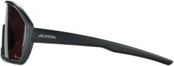 Alpina Bonfire Q-Lite Sonnenbrille Schwarz 9 Alpina Bonfire Q-Lite Sonnenbrille Schwarz -Alpina alpina bonfire q lite glasses black matt silver mirror 5