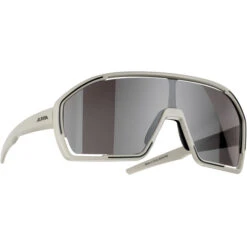 Alpina Bonfire Q-Lite Sonnenbrille Grau