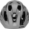 Alpina Carapax 2.0 Helm Grau -Alpina alpina carapax 20 helm coffee grey matt 2