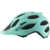Alpina Carapax 2.0 Helm Türkis -Alpina alpina carapax 20 helmet turquoise matt 1