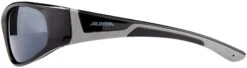 Alpina Flexxy Brille Kinder Schwarz -Alpina alpina flexxy glasses junior black grey 5