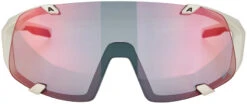 Alpina Hawkeye QV Sonnenbrille Grau