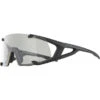 Alpina Hawkeye S Sonnenbrille Schwarz -Alpina alpina hawkeye s glasses black matt clear 1