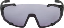 Alpina Hawkeye S Q-Lite V Sonnenbrille Schwarz