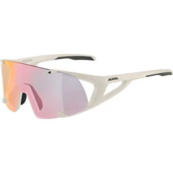 Alpina Hawkeye S QV Sonnenbrille Grau