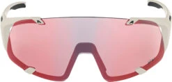 Alpina Hawkeye S QV Sonnenbrille Grau