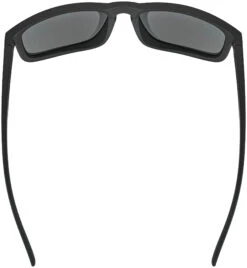Alpina Kosmic Brille Schwarz -Alpina alpina kosmic glasses all black matt black mirror 4