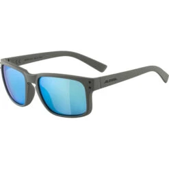 Alpina Kosmic Brille Grau