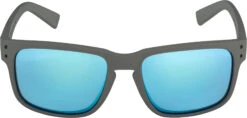 Alpina Kosmic Brille Grau