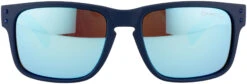 Alpina Kosmic Brille Blau