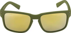 Alpina Kosmic Brille Oliv