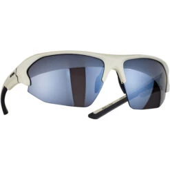 Alpina Lyron HR Brille Grau