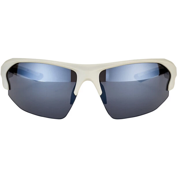 Alpina Lyron HR Brille Grau 4 Alpina Lyron HR Brille Grau – Bild 2