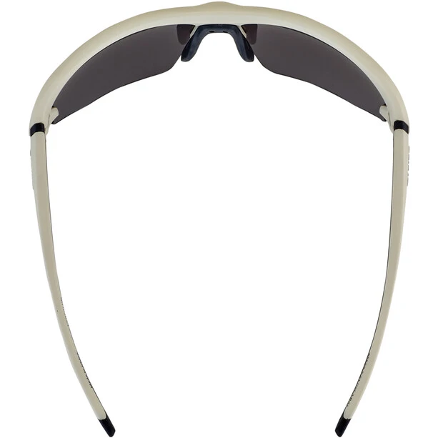 Alpina Lyron HR Brille Grau 6 Alpina Lyron HR Brille Grau – Bild 4