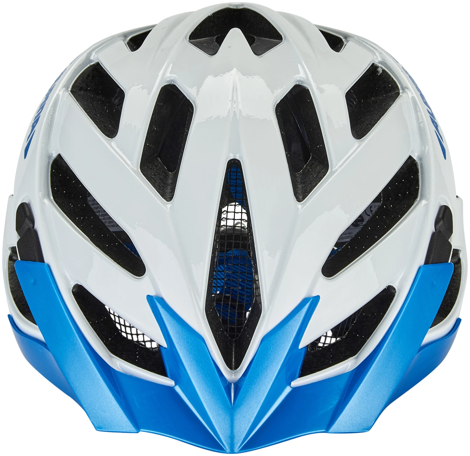 Alpina Panoma 2.0 Helm Blau