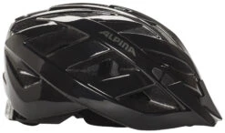 Alpina Panoma Classic Helm Schwarz