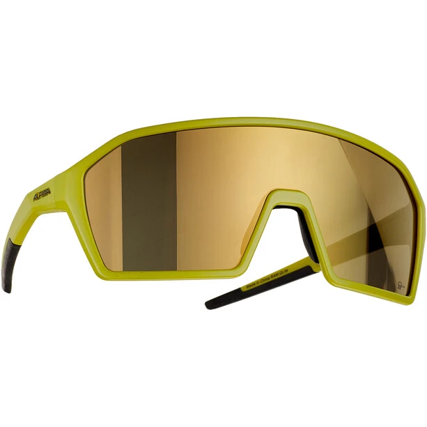 Alpina Ram Q-Lite Brille Oliv 3 Alpina Ram Q-Lite Brille Oliv