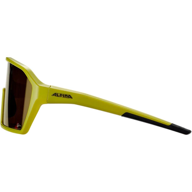 Alpina Ram Q-Lite Brille Oliv 7 Alpina Ram Q-Lite Brille Oliv – Bild 5