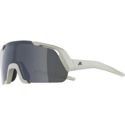 Alpina Rocket Sonnenbrille Jugend Grau