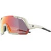 Alpina Rocket QV Sonnenbrille Grau -Alpina alpina rocket qv glasses cool grey matt rainbow mirror 1