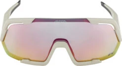 Alpina Rocket QV Sonnenbrille Grau