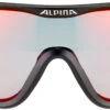Alpina S-Way QVM+ Brille Schwarz -Alpina alpina s way qvm glasses black matt 2